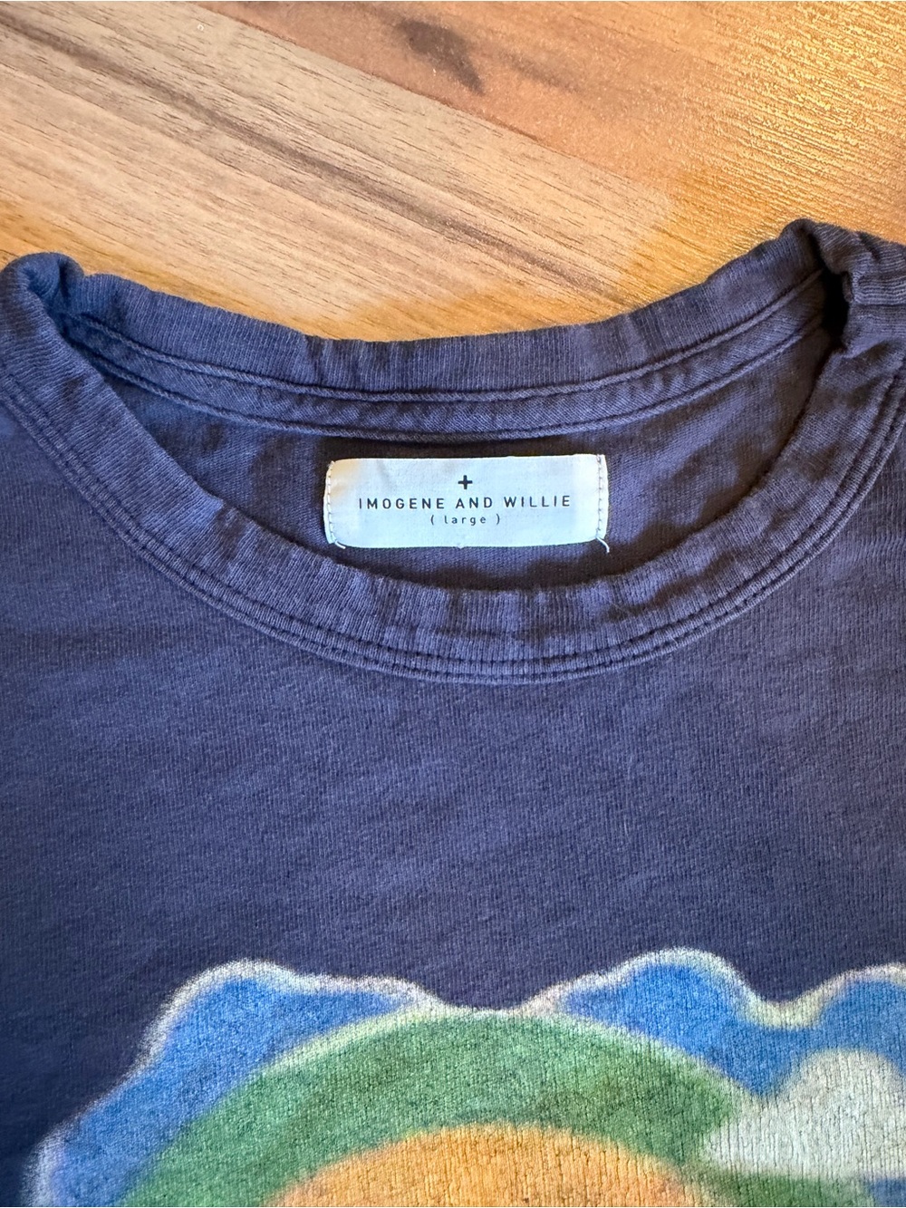 Collectors Imogene + Willie Billy strings t shirt - Picture 3 of 4